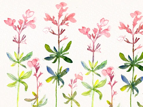 Waterback watercolor painting by Miranda Gerber showcasing detailed value and texture study